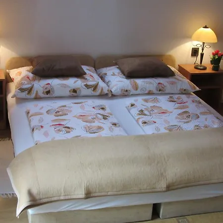 Zsuzsa Panzio Bed & Breakfast Balatonfüred