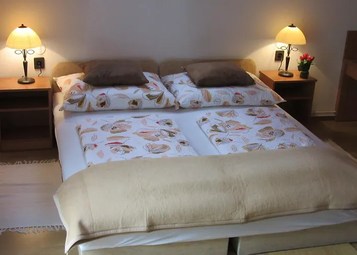 Zsuzsa Panzio فندق مبيت وإفطار بالاتونفوريد