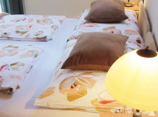 Zsuzsa Panzio 3* バラトンフレド