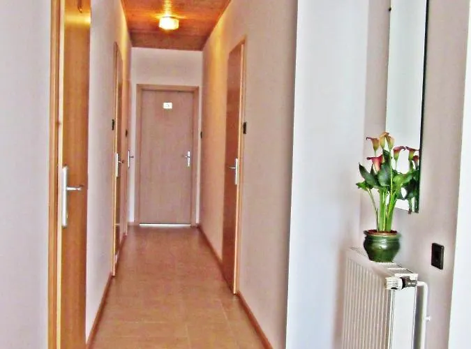 Zsuzsa Panzio فندق مبيت وإفطار بالاتونفوريد