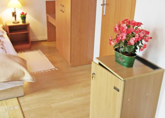 Zsuzsa Panzio 3* بالاتونفوريد