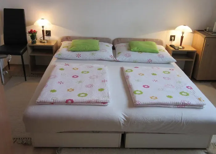 Zsuzsa Panzio 3* بالاتونفوريد